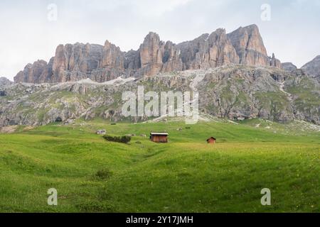 Vue panoramique sur les montagnes rocheuses du groupe Sella depuis Pordoi Pass, Dolomites. Sass Pordoi, Piz Boè. Herbe verte et ciel bleu avec des nuages Banque D'Images