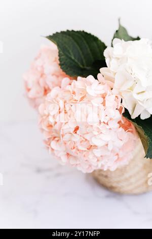 Un panier de paille contient des hortensias roses et blanches avec des feuilles vertes, reposant sur un fond de marbre blanc Banque D'Images