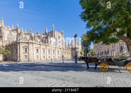 Calèche tirée par des chevaux debout à l'ombre sur la Plaza del Triunfo avec une partie de la cathédrale de Santa María de la Sede, arbre feuillu, journée ensoleillée à Séville, Espagne Banque D'Images