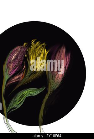 Élégantes fleurs Bordeaux dans un design luxueux et romantique. Parfait pour les projets décoratifs, les invitations ou les emballages. Illustration de Vecteur