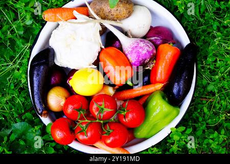 différents légumes mûrs dans une poêle blanche sur l'herbe. produits alimentaires sains. Banque D'Images