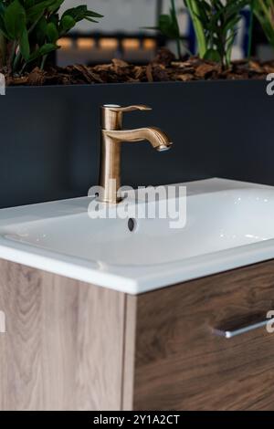 Robinet de salle de bains élégamment conçu avec vanité en bois et verdure dans l'intérieur moderne. Banque D'Images