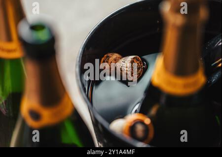 Un bouchon d’une bouteille de champagne Veuve Clicquot flottant dans un seau à glace rempli d’eau entouré de trois bouteilles de champagne ouvertes Banque D'Images