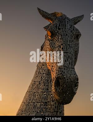 Gros plan photo de l'attraction touristique écossaise emblématique, Duke the Kelpie, The Helix, Grangemouth, Falkirk, Écosse, Royaume-Uni en basse lumière au coucher du soleil Banque D'Images