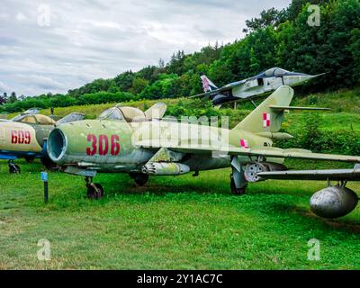 Collection de combattants MIG-15 au Musée du Château de Savigny-les Beaune (Bourgogne/France) Banque D'Images