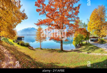 Vue magnifique sur le parc et les montagnes autour du lac Zell ou Zeller See. Localisation : Zell am See, quartier de Zell am See, État de Salzbourg, Autriche Banque D'Images