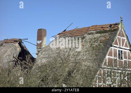 Fortement endommagée d'un toit de chaume d'une maison à colombages Banque D'Images