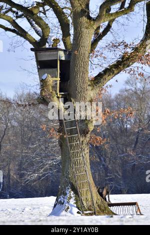 Siège haut à Duvenstedter Brook en hiver Banque D'Images