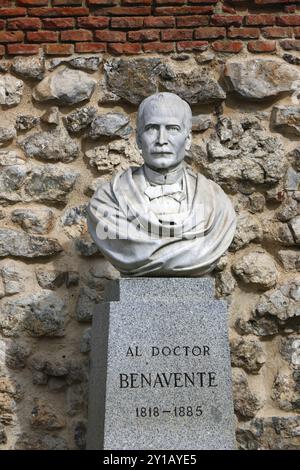 Buste du Docteur Mariano Benavente dans le Parc du Retiro à Madrid Banque D'Images