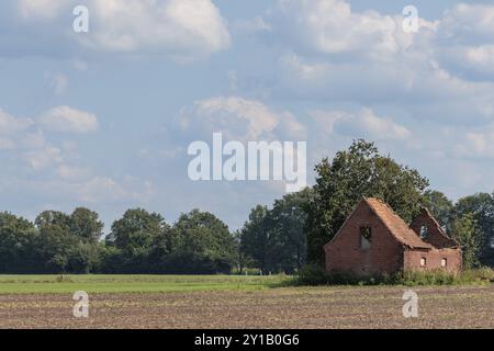 Un vieux bâtiment en briques se tient seul dans un champ ouvert sous un ciel nuageux, entouré d'arbres verts, weseke, muensterland, allemagne Banque D'Images