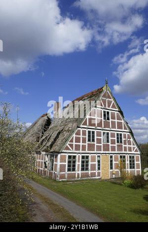 Fortement endommagée d'un toit de chaume d'une maison à colombages Banque D'Images