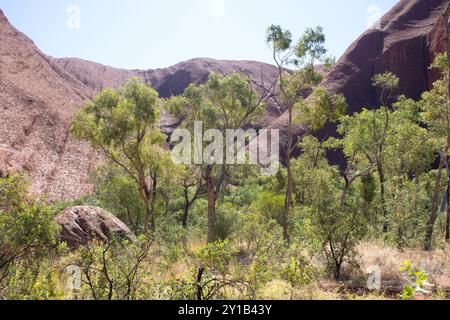 Vue depuis Mala Walk Track, Uluru (Ayers Rock), parc national de Uluṟu-Kata Tjuṯa, territoire du Nord, Australie Banque D'Images