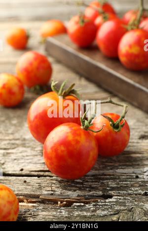 Tomates mûres fraîches sur table en bois, gros plan Banque D'Images