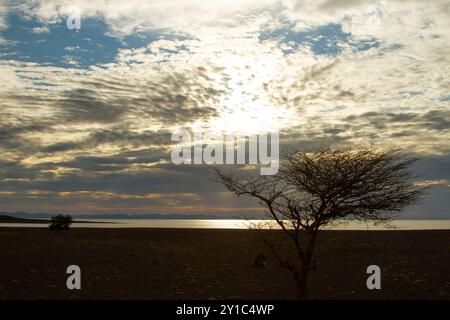 Le lac Turkana est un lac salin situé dans la vallée du Rift au Kenya, au nord du Kenya, avec son extrémité nord traversant l'Éthiopie Banque D'Images