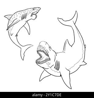 Le requin préhistorique Megalodon attaque l'Helicoprion. Lutte entre poissons prédateurs pour la coloration. Dessin fait à la main. Banque D'Images