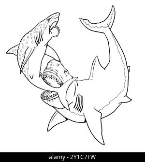 Le requin préhistorique Megalodon attaque l'Helicoprion. Lutte entre poissons prédateurs pour la coloration. Dessin fait à la main. Banque D'Images