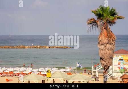 Tel Aviv, Israël. 06 septembre 2024. Des parasols et des chaises longues vides se dressent dans le sable à Frishman Beach, sur la Méditerranée. Le ministère fédéral des Affaires étrangères met en garde contre les voyages en Israël et dans les territoires palestiniens en raison des opérations militaires dans la bande de Gaza. Crédit : Soeren Stache/dpa/Alamy Live News Banque D'Images