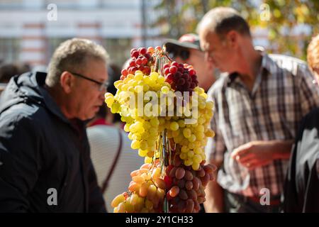 16 septembre 2023. Bélarus. Gomel. City Day. Foire aux légumes. Vente de cépages d'élite à la foire aux légumes. Banque D'Images