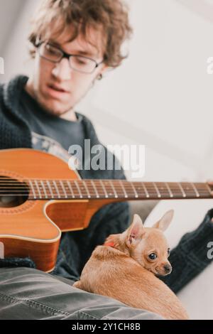 Jeune homme adulte jouant de la guitare acoustique à la maison avec son petit chien chihuahua reposant sur ses genoux. Ils apprécient le temps de qualité ensemble dans la vie Banque D'Images