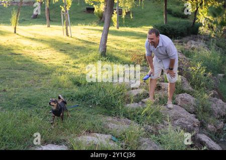 Souriant homme d'âge moyen marche et joue avec un petit chien dans un parc public Banque D'Images