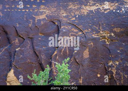 Un panneau de petropglyphes d'art rupestre amérindien préhispanique de la culture Fremont à Nine Mile Canyon, Utah. Banque D'Images