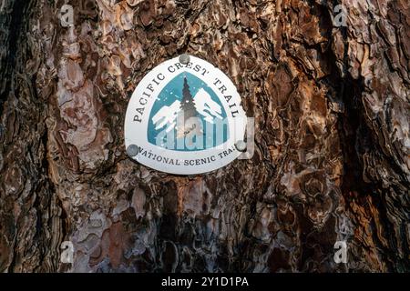 Un tronc d'arbre avec un signe Pacific Crest Trail dessus. Le signe est petit et a un motif bleu et blanc Banque D'Images