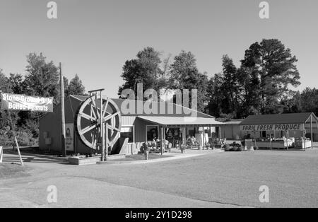 Moulin à grain historique situé à Aynor, Caroline du Sud, États-Unis, offrant des grains de pierre moulus et d'autres produits locaux pour les voyageurs. Banque D'Images