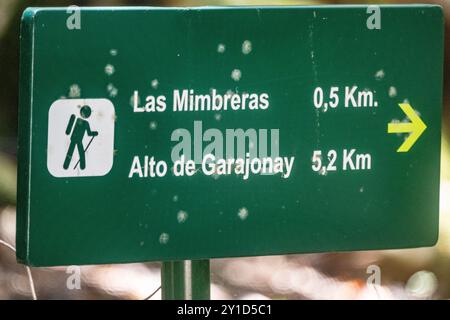 Panneau vert indiquant les distances vers Las Mimbreras et Alto de Garajonay, la Gomera, îles Canaries, avec un pictogramme de randonnée. signal de randonnée directionnelle Banque D'Images