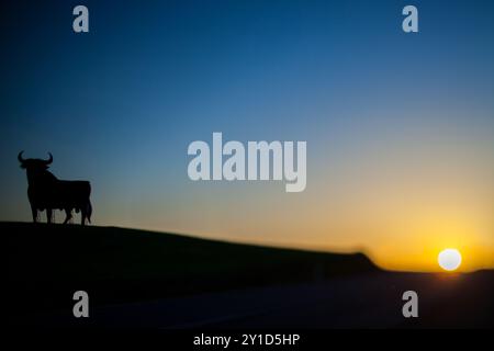 Photo d'objectif à décentrement incliné de la silhouette d'Osborne Bull face à un coucher de soleil vibrant à Séville, Espagne. Scène paisible et emblématique. Banque D'Images
