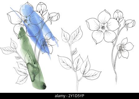 Aquarelle et doublure fleurs de prairie bouquet et élément illustration set, clipart floral dessiné à la main Banque D'Images