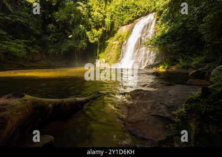 Perak biodiversité Etat de Malyaysia Banque D'Images