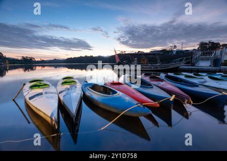 Perak biodiversité Etat de Malyaysia Banque D'Images