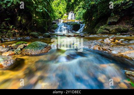 Perak biodiversité Etat de Malyaysia Banque D'Images