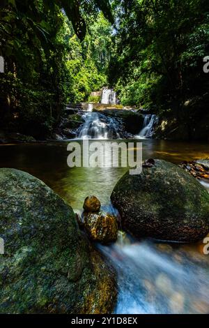 Perak biodiversité Etat de Malyaysia Banque D'Images