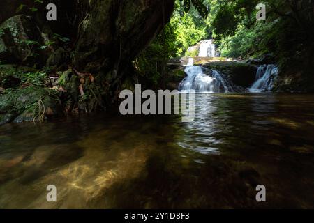 Perak biodiversité Etat de Malyaysia Banque D'Images