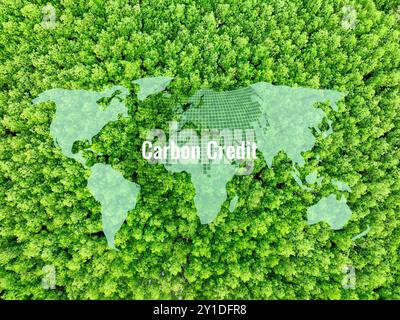 Concept de crédit carbone. Globe et carte du monde au-dessus de la forêt de mangrove verte. Puits de carbone naturel. Les mangroves capturent le CO2 dans les écosystèmes de carbone bleu Banque D'Images