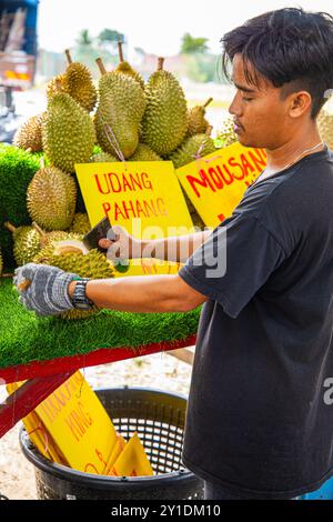 Kuala Lumpur, Malaisie. 25. 08. 24. Le jeune asiatique vend du durian de différentes variétés Banque D'Images