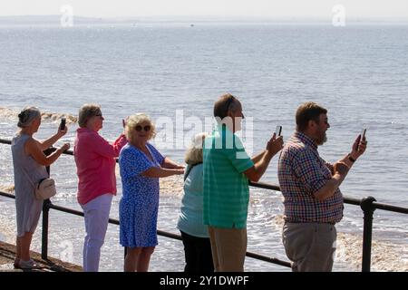 Crosby Liverpool,. 6 septembre 2024. Météo britannique, les températures atteignent 27 °C pour les personnes se rassemblant au Crosby Coastal Park pour l'arrivée du plus grand paquebot du monde, le Queen Mary 2 amarré au Liverpool Cruise terminal Credit ; MediaWorldImages/AlamyLiveNews Banque D'Images