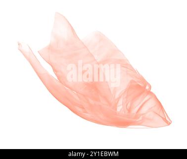 Beau tissu de tulle orange sur fond blanc Banque D'Images