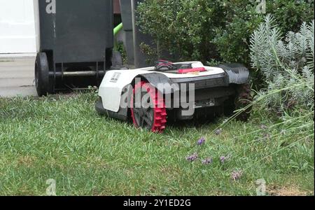 Cologne, Allemagne. 05th Sep, 2024. Un robot tondeuse traverse un jardin. Les associations allemandes de protection des animaux réclament une limitation de l'utilisation des robots de tonte. Selon un expert en jardinage du BUND, les tondeuses automotrices présentent un danger particulier pour les hérissons. Comme les robots effectuent leur travail sans surveillance et silencieusement, ils sont souvent utilisés par les propriétaires de jardins la nuit lorsque les hérissons nocturnes partent à la recherche de nourriture. Crédit : Sascha Thelen/dpa/Alamy Live News Banque D'Images