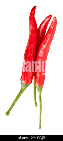 Vue de dessus des piments rouges frais ou des poivrons de Cayenne en pile est isolé sur fond blanc avec chemin de découpage. Banque D'Images