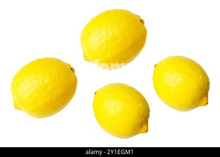 Vue de dessus ensemble de quatre fruits frais de citron jaune mûr est isolé sur fond blanc avec chemin de découpage. Banque D'Images