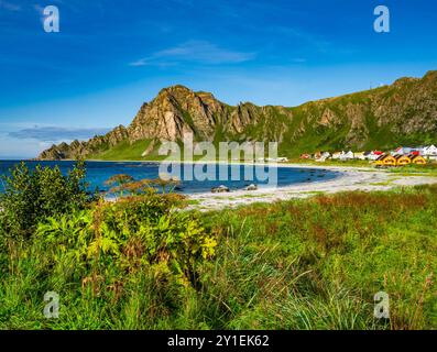 Bleik, Norvège. 09 août 2024. Paysage côtier sur l'île de Andöya dans le nord de la Norvège, au-dessus des îles Lofoten, sur la mer de Norvège. Andöya est l'île la plus septentrionale de Vesteralen dans le Nordland norvégien de Fylke. Crédit : Patrick Pleul/dpa/Alamy Live News Banque D'Images