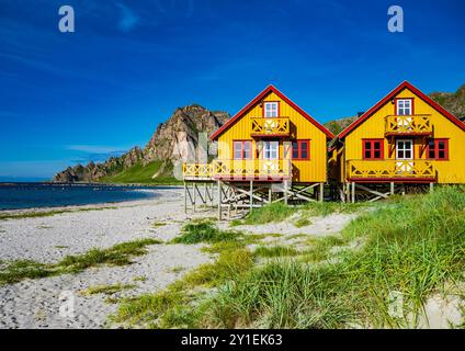 Bleik, Norvège. 09 août 2024. Paysage côtier sur l'île de Andöya dans le nord de la Norvège, au-dessus des îles Lofoten, sur la mer de Norvège. Andöya est l'île la plus septentrionale de Vesteralen dans le Nordland norvégien de Fylke. Crédit : Patrick Pleul/dpa/Alamy Live News Banque D'Images