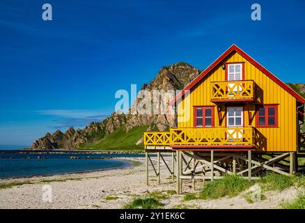 Bleik, Norvège. 09 août 2024. Paysage côtier sur l'île de Andöya dans le nord de la Norvège, au-dessus des îles Lofoten, sur la mer de Norvège. Andöya est l'île la plus septentrionale de Vesteralen dans le Nordland norvégien de Fylke. Crédit : Patrick Pleul/dpa/Alamy Live News Banque D'Images