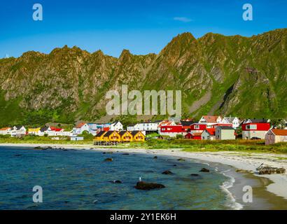 Bleik, Norvège. 09 août 2024. Paysage côtier sur l'île de Andöya dans le nord de la Norvège, au-dessus des îles Lofoten, sur la mer de Norvège. Andöya est l'île la plus septentrionale de Vesteralen dans le Nordland norvégien de Fylke. Crédit : Patrick Pleul/dpa/Alamy Live News Banque D'Images