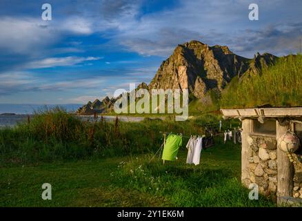 Bleik, Norvège. 09 août 2024. Paysage côtier sur l'île de Andöya dans le nord de la Norvège, au-dessus des îles Lofoten, sur la mer de Norvège. Andöya est l'île la plus septentrionale de Vesteralen dans le Nordland norvégien de Fylke. Crédit : Patrick Pleul/dpa/Alamy Live News Banque D'Images