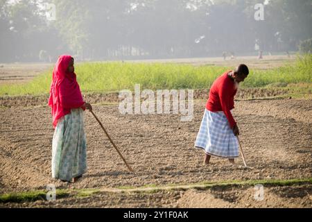 Agriculteur masculin et féminin travaillant sur un champ agricole au printemps. La vie rurale des agriculteurs au bangladesh,Cumilla-Bangladesh:février-6,2024 Banque D'Images