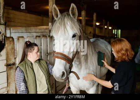 Deux femmes toilettant le cheval gris en écurie, l'une utilisant la brosse tandis que l'autre place la main sur le cou du cheval créant une connexion intime dans un environnement rustique Banque D'Images