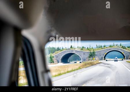 Vue en voiture d'un passage supérieur de la faune au-dessus d'une autoroute divisée à Banff Canada Banque D'Images